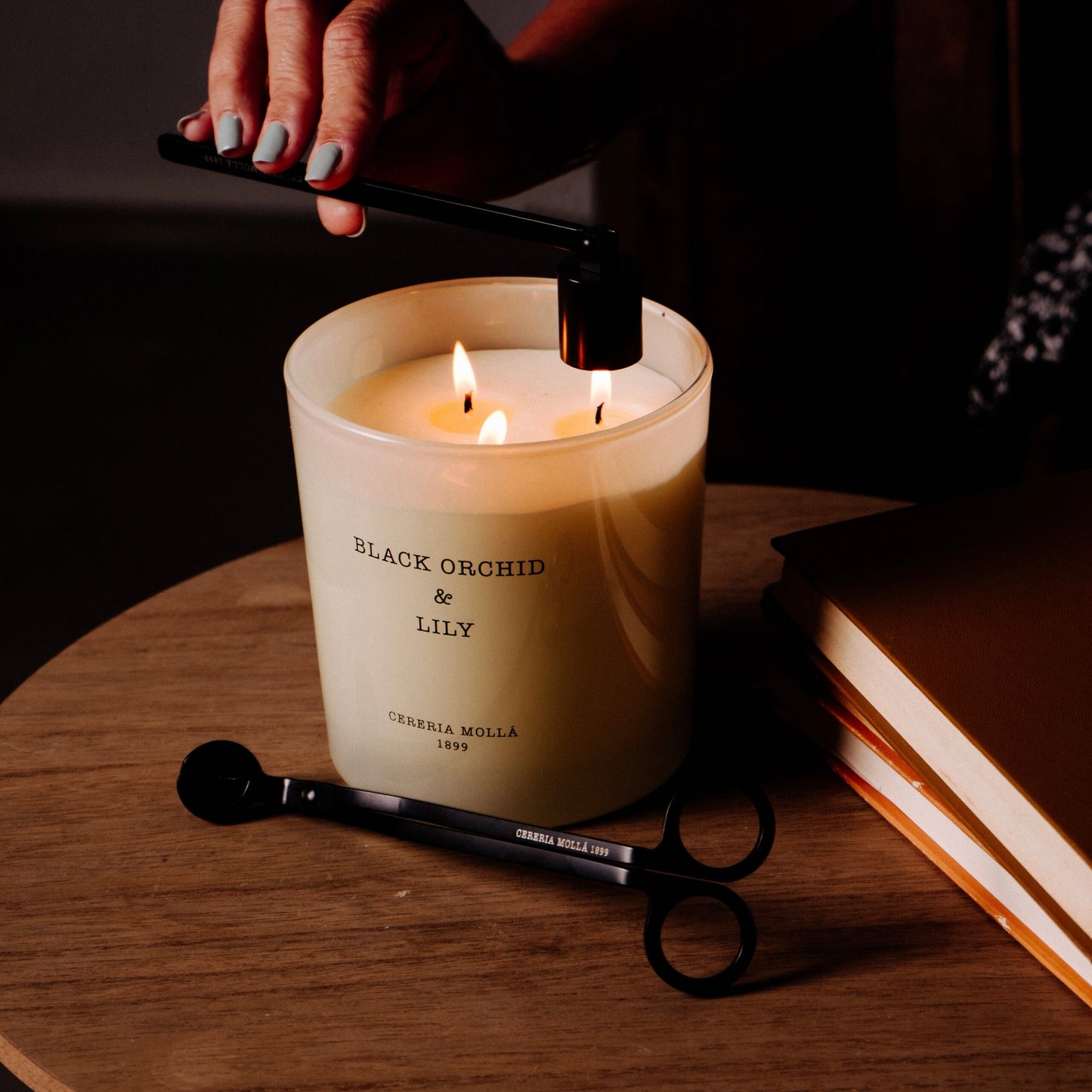 Wick Trimmer & Candle Snuffer Set