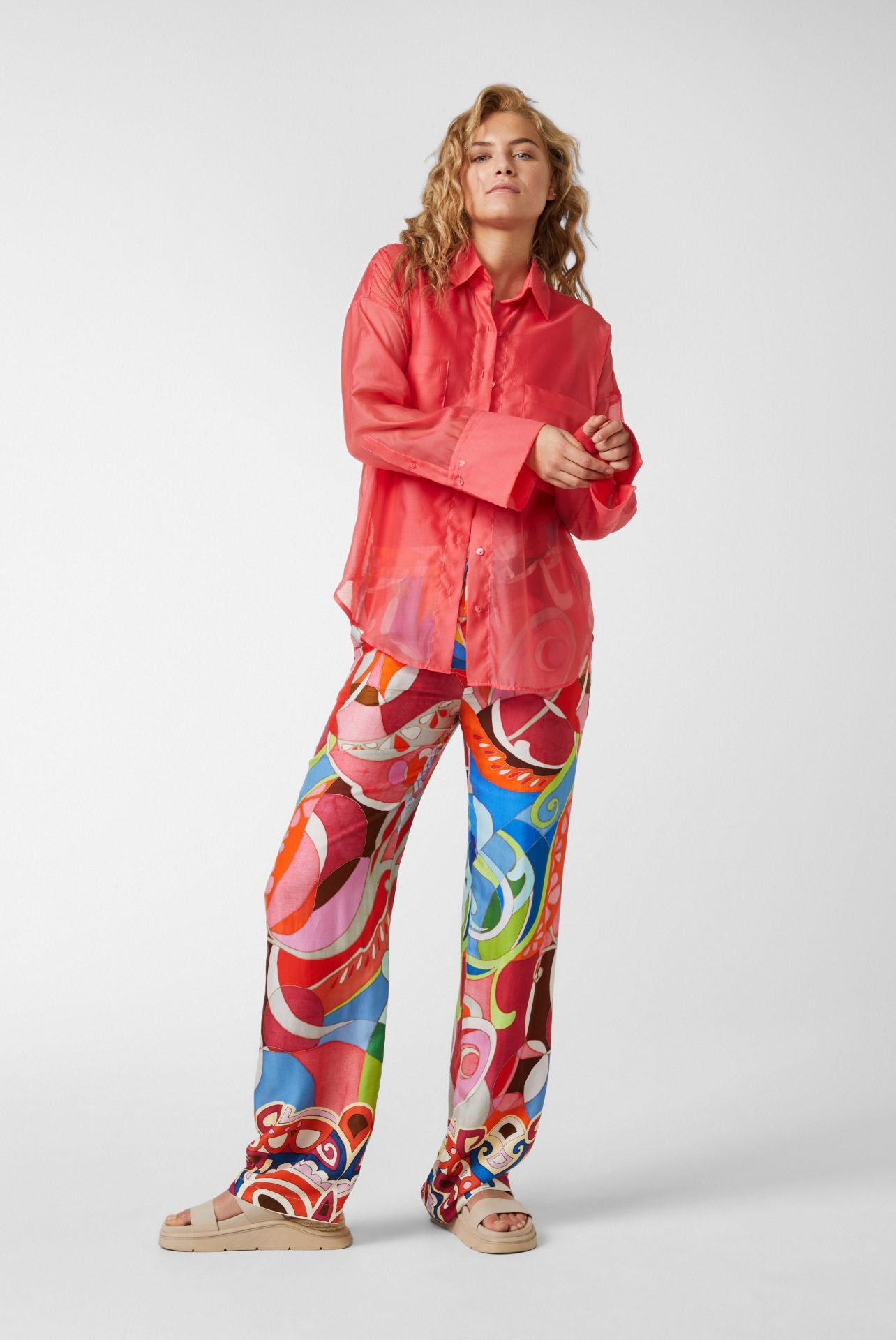 Oversized Sheer Shirt Blouse