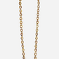 Tortoiseshell Links Long Phone Chain