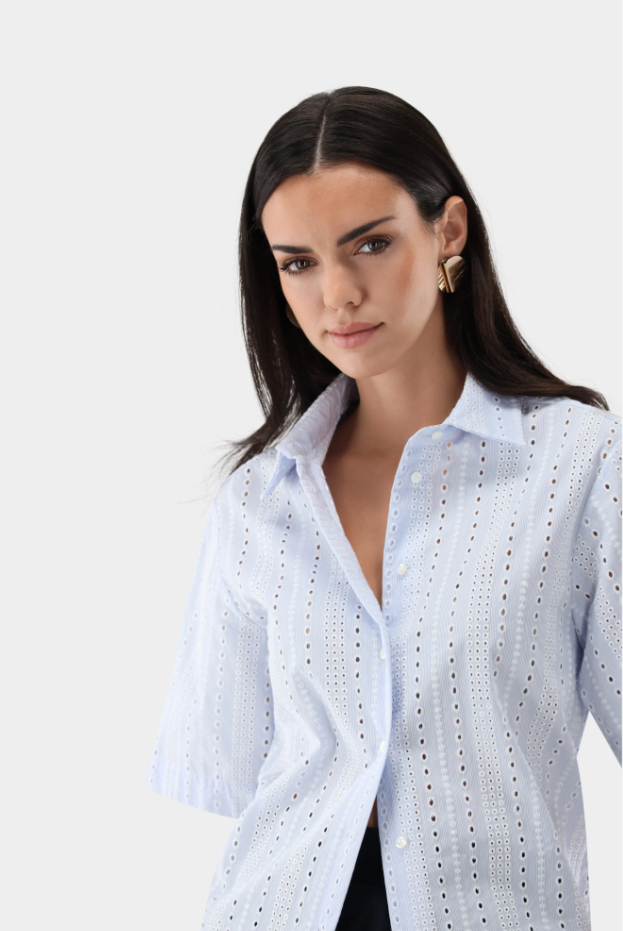 Striped Eyelet Embroidered Cotton Blouse
